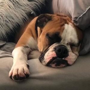 Meet your Posher, Casandra